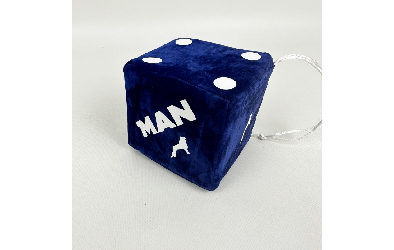 Кубик в кабину с присоской MAN синий