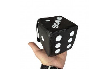 Кубик еко шкіра SCANIA чорний