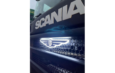 Декоративний ліхтар крила SCANIA 24v Білі